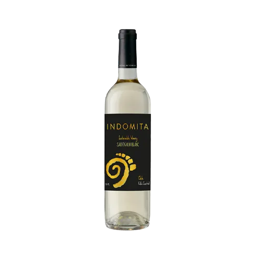 vinho-2